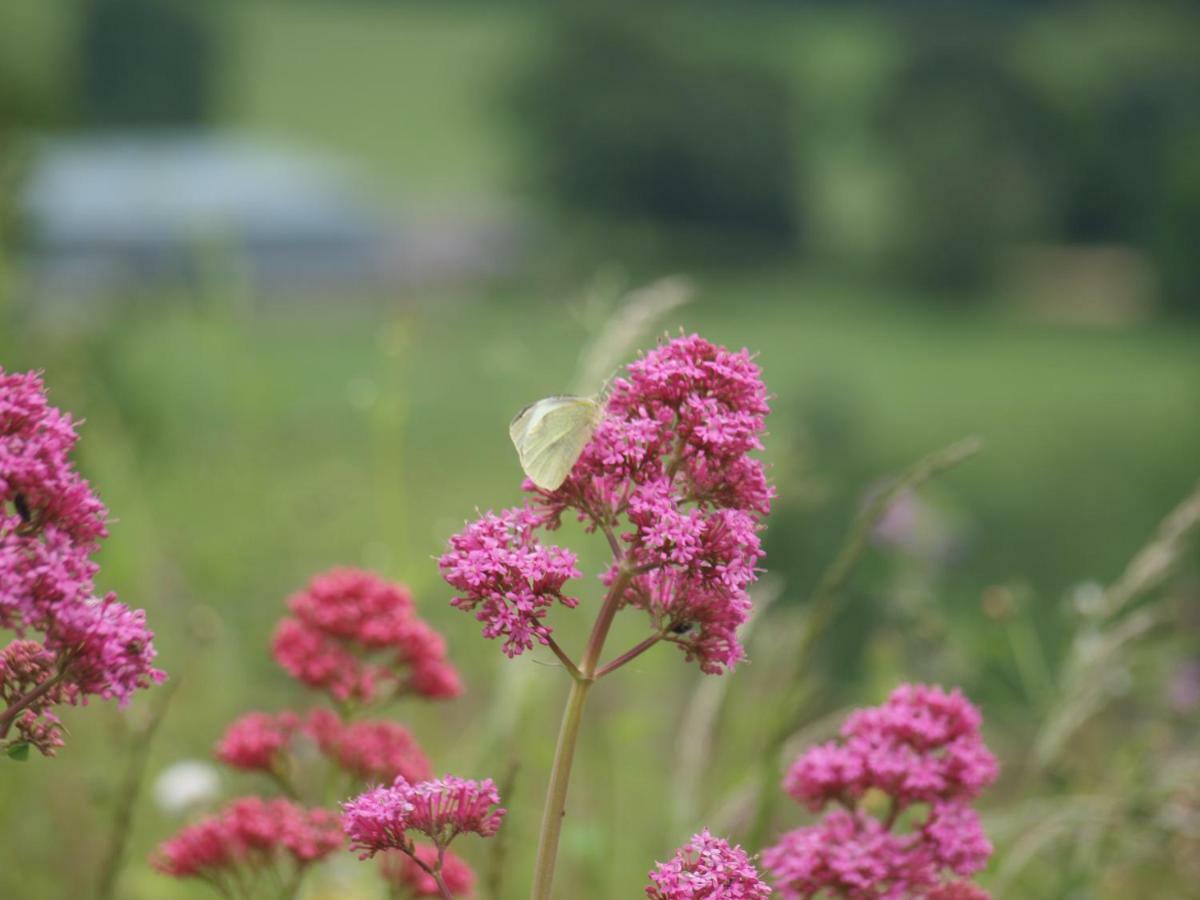 Incheoch Farm Cottage Kilry ภายนอก รูปภาพ